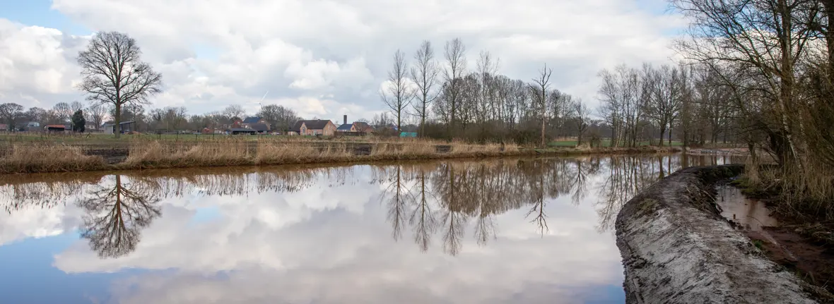 Natuurlijke waterzuivering in de Grote Caliebeek