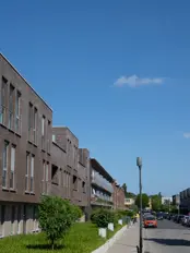 Groenblauwe straten in Turnhout: Mesesstraat en Dahliastraat
