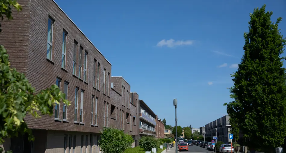 Groenblauwe straten in Turnhout: Mesesstraat en Dahliastraat