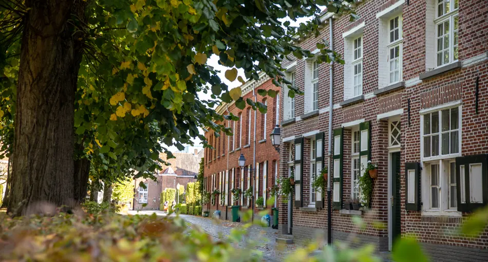 Begijnhof renoveert