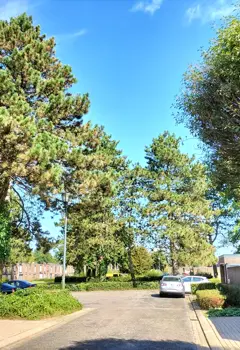 Tuinstraten in Turnhout