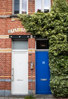 Een geveltuin, iets voor jou?