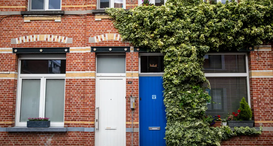 Een geveltuin, iets voor jou?